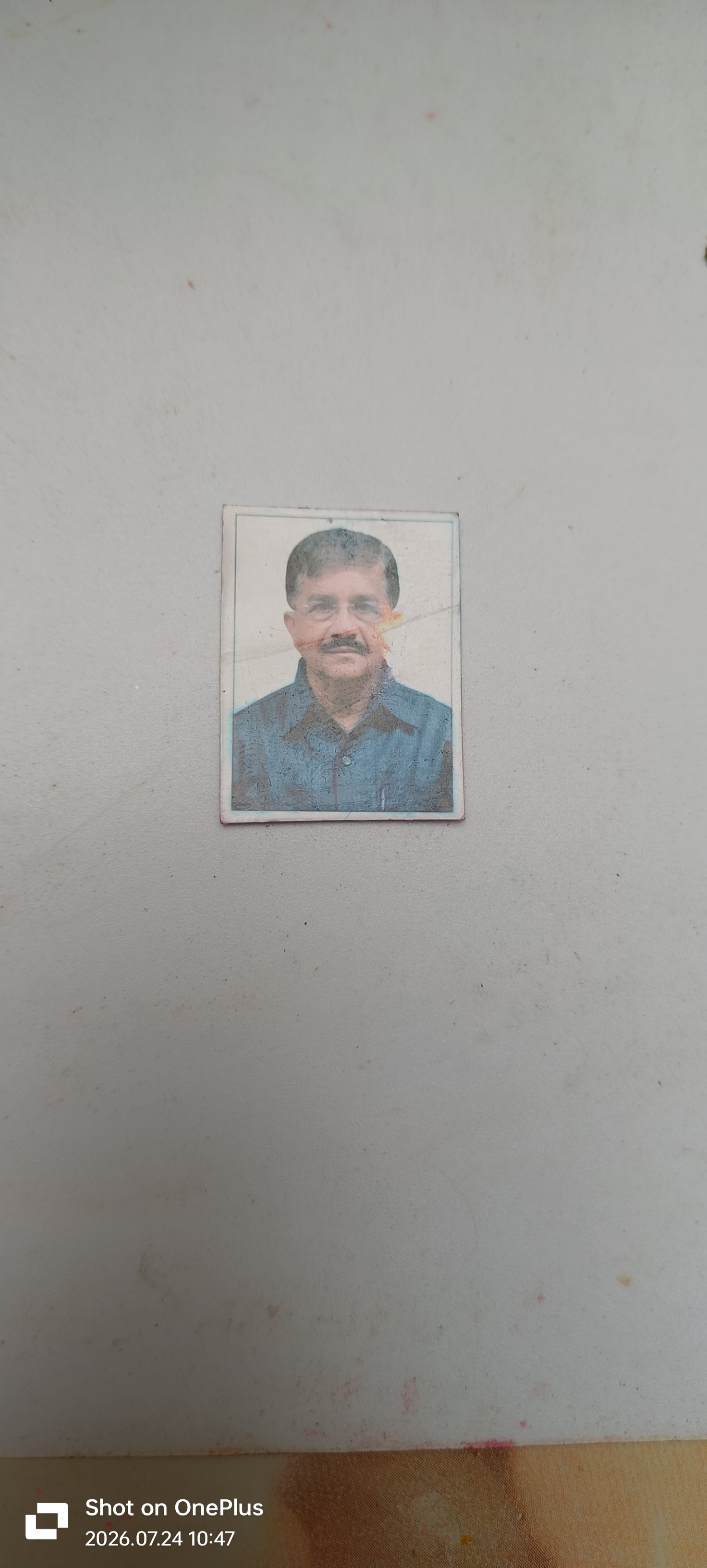 Profile Photo